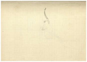 Visualizza l'immagine "FD Album 3, 23 v."